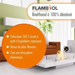 1 x 5 Liter FLAMBIOL® Bioethanol 96.6% Premium für Ethanol-Brenner oder Kamine