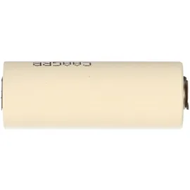 Sanyo FDK Lithium 3V 2 St.