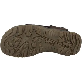 ECCO Offroad Herren braun 43