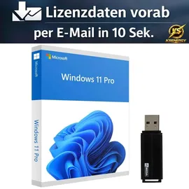 Microsoft Windows 11 Pro ESD DE