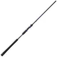 13 Fishing Muse S Spinnrute