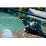 UBBINK Wasserspeier Schildkröte