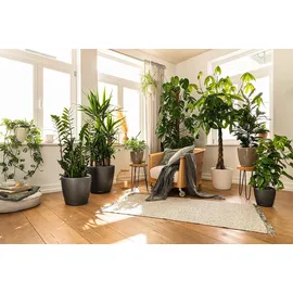 LECHUZA Classico LS 43 Komplettset Ø 43 x 40 cm anthrazit metallic