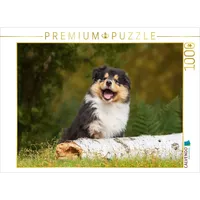 Calvendo Puzzle Kleiner Weltentdecker - ein Colliewelpe 1000 Teile