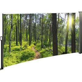 Westerholt Seitenmarkise 160 x 300 cm mehrfarbig Stahl