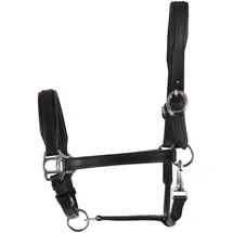 Catago Lederhalfter Pony Schwarz