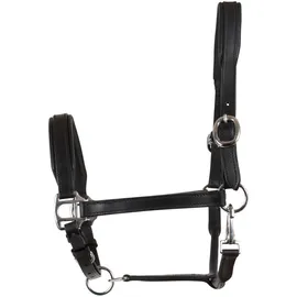 Catago Lederhalfter Pony Schwarz