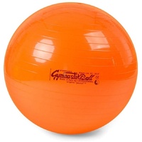Pezzi®-Ball Original Gymnastikball mit Übungsanleitung 1 St