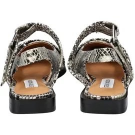 Steve Madden Ballerinas in Hellbeige | Gr.: 36