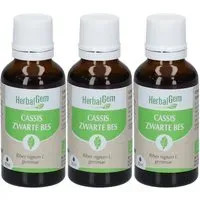 HerbalGem Cassis Bio TRIO Huile 3x30 ml