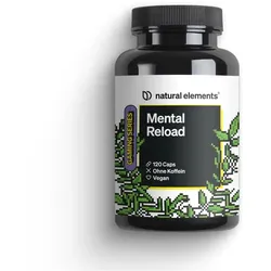 Mental Reload – 120 Kapseln – mit B-Vitaminen, Ashwagandha und Rhodiola Rosea – Regeneration beim Gaming – vegan, hochdosiert, ohne unnötige Zusätze – in Deutschland produziert 120 St