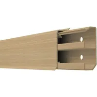 GGK 13268 Sockelleistenkanal SL 20x50-buche, PVC mit Dichtlippe, 2