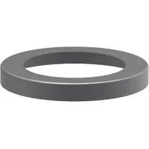 Leipziger Leuchten Zierring 1 Z240