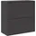 vidaXL Aktenschrank 90 x 40 x 90 cm Schwarz