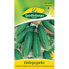 Quedlinburger Einlegegurke Restina F1