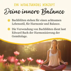 Klosterfrau Bachblüten Murnauers Konzentrier Dich Globulini 10 g