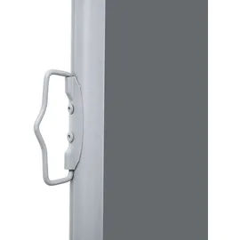 vidaXL Ausziehbare Seitenmarkise 120 x 600 cm Grau