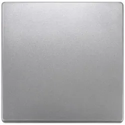 Siemens 5TG71411 DELTA style Wippe neutral, platinmetallic