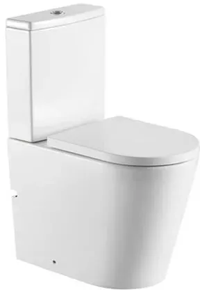 SAT Brevis WC-Kombination komplett SATBRE031RREXVPSN