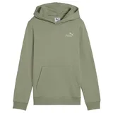 Puma Hoodie Green 164