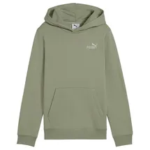 Puma Hoodie Green 164