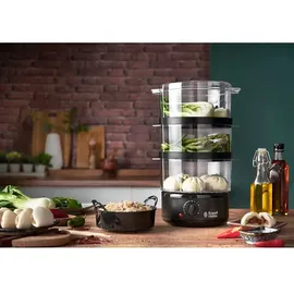 Russell Hobbs 26530-56 Compact Dampfgarer