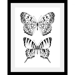 queence Bild »Schmetterlinge«, Tiere-Schwarz-Weiß-Kunst-Insekten-Schmetterlinge, HD Premium Poster-Druck inkl. Holzrahmen queence Farbe Rahmen: schwarz + Farbe Bild(er): schwarz
