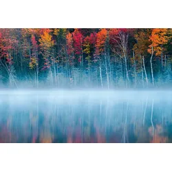 Fototapete PAPERMOON "Photo-Art JOHN FAN, MORGENREFLEXION", bunt, B:4,50m L:2,80m, Vlies, Tapeten