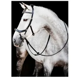 Horseware Micklem Multi Bridle, Vollblut,