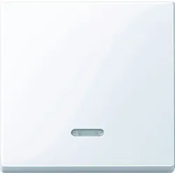 Merten Kontrollwippe Schalter aktivweiß glänzend System M 436025 für Bussystem