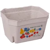 Wertpack Beerenschalen bunte Früchte, Holzschliff, 1.000 g, 197 x 142 x 108 mm, 200 Stück