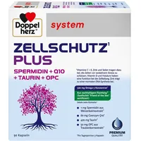 Queisser Doppelherz Zellschutz Plus Spermid.+q10+taurin+opc