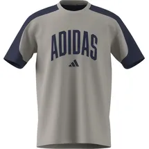 adidas Collegiate T-Shirt Herren Wonder Alumina/Dark Blue 3XL