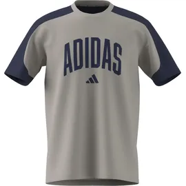 adidas Collegiate T-Shirt Herren Wonder Alumina/Dark Blue 3XL