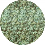 KOMAR Vlies Fototapete Greenery Ø 125 cm selbstklebend