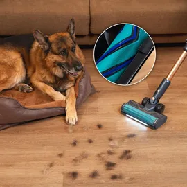 Cecotec Conga Rockstar RX70 AquaPet Flex Schwarz/Gold