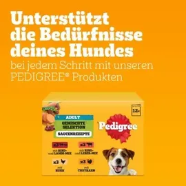 PEDIGREE Gemischte Selektion in Sauce 24 x 100 g