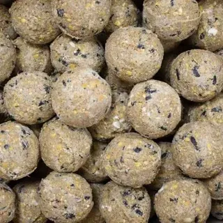 KLASEBO Meisenknödel Premium mit Insekten 100 x ca.90 Gramm ohne Netz Vogelfutter Wildvogelfutter Fettfutter