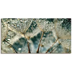 Wandbild ARTLAND "Pusteblume Regenschauer", grau (farbe bild(er): grau), B:100cm H:50cm, Bilder, als Alubild, Outdoorbild, Leinwandbild, Poster, Wandaufkleber