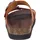 Dr. Brinkmann Bonillo orange 42