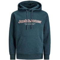 JACK & JONES Hoodie JORLAKEWOOD- Relaxed Fit Relaxed Fit Ginger 12246802 M