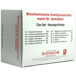 Dr. Reckeweg Schüßler Salz Haus- und Reiseapotheke, 12er-Set 12X200 St