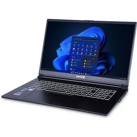 WORTMANN Terra Mobile 1778R i7-13700H W11P