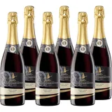 Hex vom Dasenstein Pinot Noir Sekt trocken - sehr elegant mit Noten von Beeren und Kirschen, fein prickelnd, zart und süße Anklänge - Badischer Sekt, Anbaugebiet Ortenau (6 x 0,75 l)