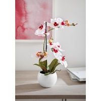 Home Affaire Kunstorchidee »Ernestine«, Kunstpflanze, im Topf, rosa