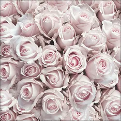 Ambiente 20 Servietten Papier 33x33cm 3-lagig - hochwertige Einweg Papierservietten Rosen Motiv Tischdeko romantisch Blumen Hochzeit Verlobung Valentinstag