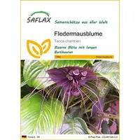 SAFLAX - Fledermausblume - 10 Samen - Tacca chantrieri