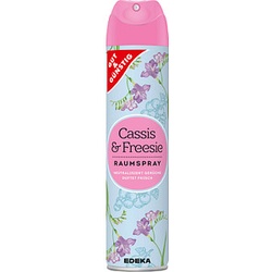 GUT&GÜNSTIG Raumspray blumig 300,0 ml, 1 St.