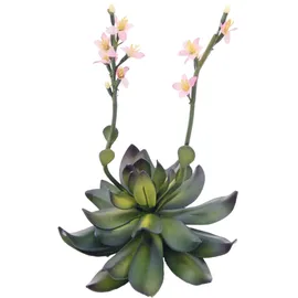 Europalms Steinrose (EVA), pink, 32cm