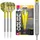 Target Darts Bolide 04 23 g